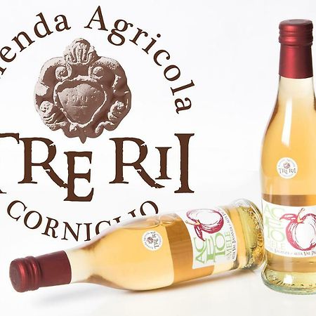 Agricola Tre Rii Sidreria Bed & Breakfast Corniglio Exterior photo