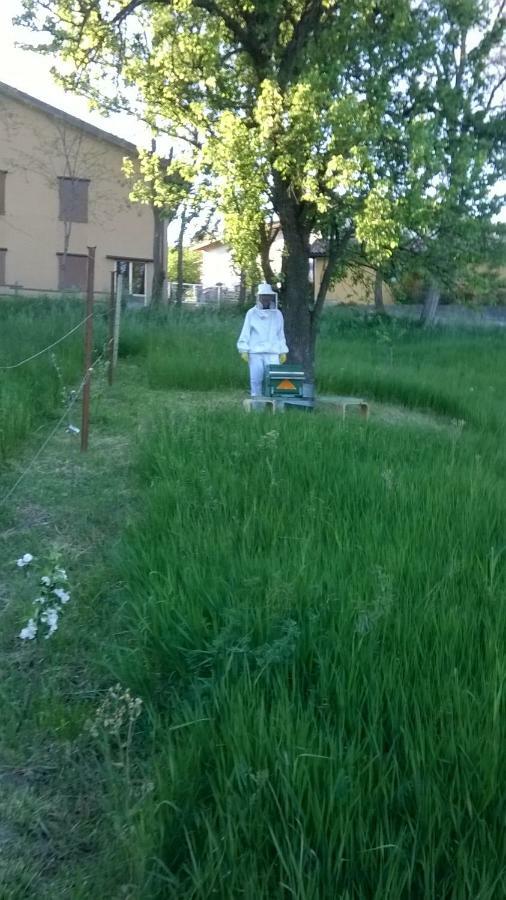 Agricola Tre Rii Sidreria Bed & Breakfast Corniglio Exterior photo